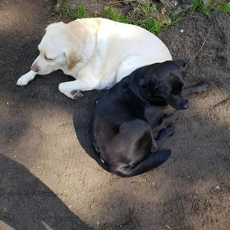 Sorgenfrei Διαμέρισμα Caputh