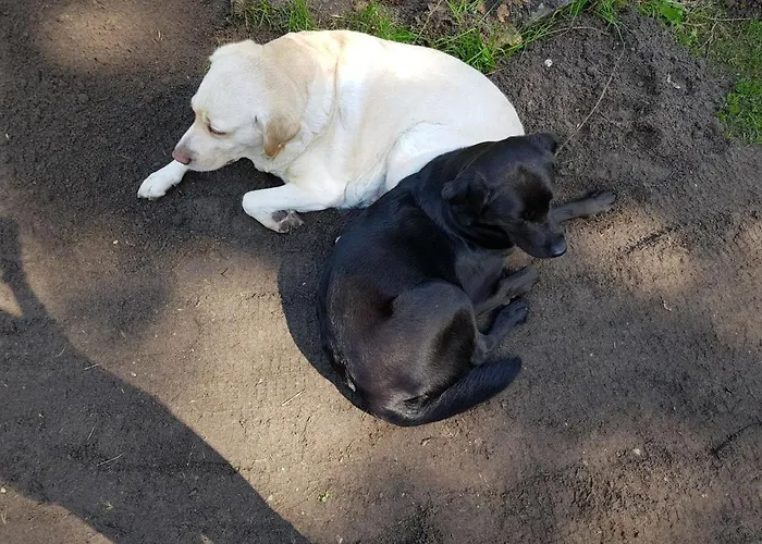 Sorgenfrei Daire Caputh